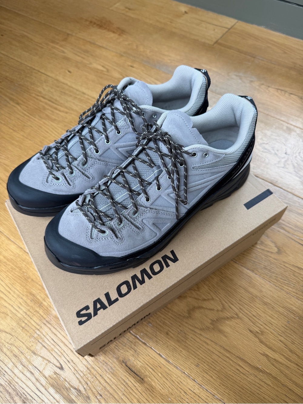 Salomon Men's X-ALP LTR Cloudburst/Paloma/Black